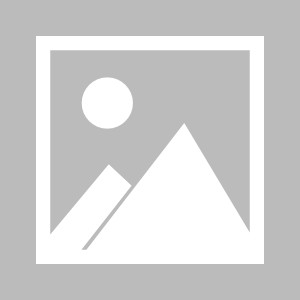 完美体育官方网站-1990年代英超效力过的著名球员有哪些？