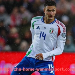 完美体育官方网站-伯明翰是否有英超球队？城市足球历史探析